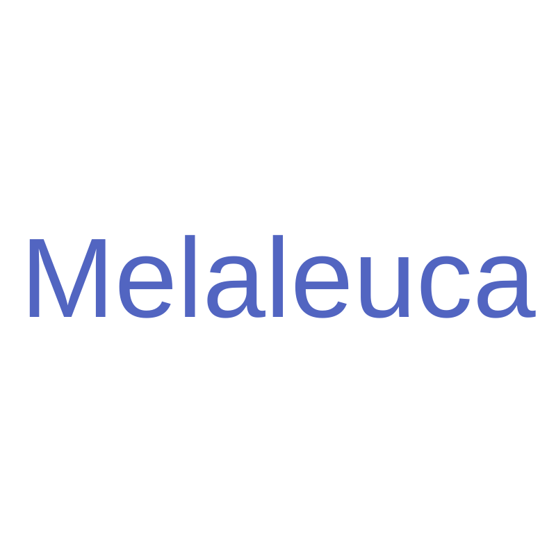 Melaleuca Words Squared